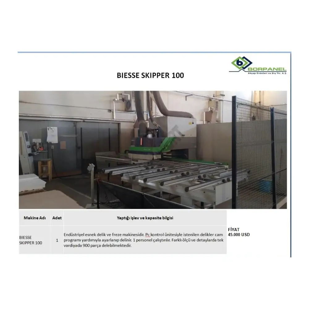 BIESSE SKIPPER 100
