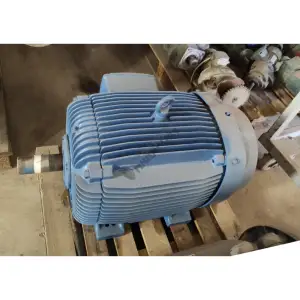 WEG 45 kW (60 HP) 1500 Devir Pik Gövde Elektrik Motoru (Avrupa) - PTC Korumalı